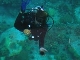 Рифы Тобаго (Сент-Винсент и Гренадины)